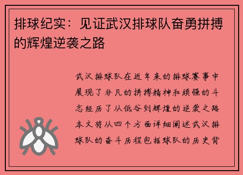 排球纪实：见证武汉排球队奋勇拼搏的辉煌逆袭之路