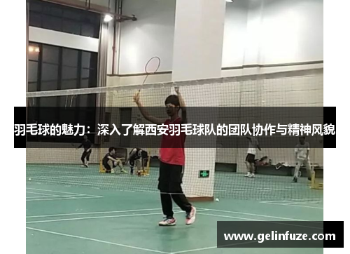 羽毛球的魅力：深入了解西安羽毛球队的团队协作与精神风貌