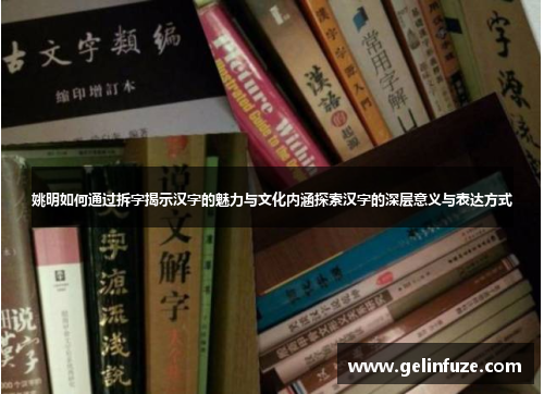 姚明如何通过拆字揭示汉字的魅力与文化内涵探索汉字的深层意义与表达方式
