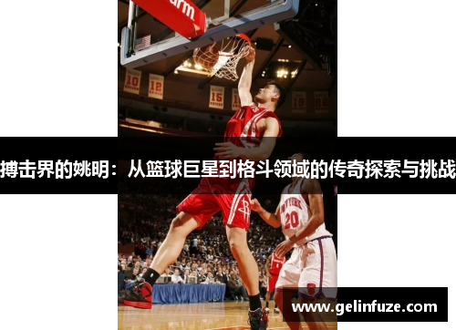 搏击界的姚明：从篮球巨星到格斗领域的传奇探索与挑战